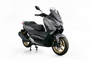 250cc ڽ  Ǳ ϰ 499 ? ѽ  250